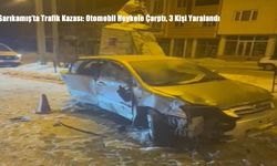 Sarıkamış’ta Trafik Kazası: Otomobil Heykele Çarptı, 3 Kişi Yaralandı