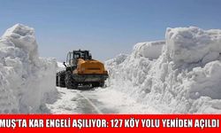 Muş’ta 127 köy yolu yeniden ulaşıma açıldı