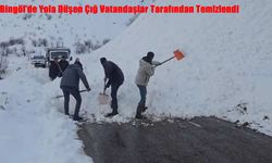 Bingöl’de Yola Düşen Çığ Vatandaşlar Tarafından Temizlendi