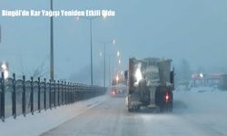 Bingöl’de Kar Yağışı Yeniden Etkili Oldu