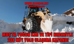 Muş’ta kar seferberliği: Açılan yollar dakikalar içinde kayboluyor