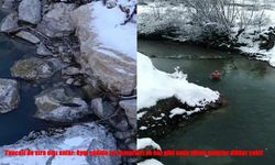 Tunceli’de kış manzarası şaşırttı: Tağar Çayı’nda bir yanda su samurları, diğer yanda cesur gençler