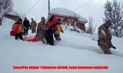 Ekipler, Hastayı Kar ve Zorlu Araziyi Aşarak Kurtardı!