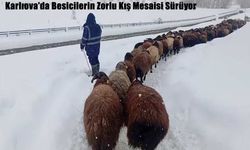 Karlıova’da Besicilerin Zorlu Kış Mesaisi Sürüyor