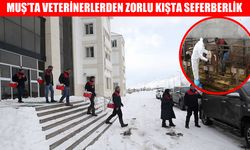 Muş’ta veterinerlerin kar mesaisi: Ahır ahır gezip ölümle yarışıyorlar!