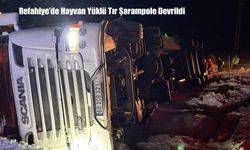Refahiye’de Hayvan Yüklü Tır Şarampole Devrildi