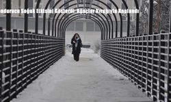 Dondurucu Soğuk Etkisini Gösterdi: Ağaçlar Kırağıyla Kaplandı