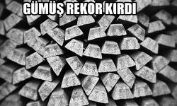 Gümüş Rekor Kırdı: Ons Fiyatı 103 Doları Aştı