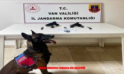 Erciş’te Jandarmadan Silah Operasyonu