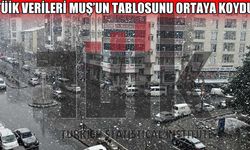 TÜİK açıkladı: Muş’ta nüfus geriliyor, göç artıyor