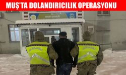 Muş'ta dolandırıcılık firarisi jandarmadan kaçamadı