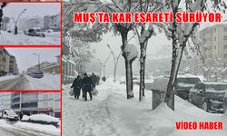 Muş’ta kar esareti: 344 köy yolu kapandı, ulaşım felç oldu