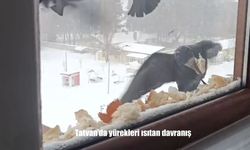 Tatvan’da yürekleri ısıtan davranış