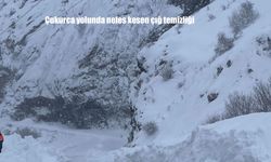Çukurca yolunda nefes kesen çığ temizliği
