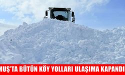 Muş kara teslim: Bütün köy yolları ulaşıma kapandı