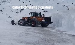 Çatak'ta 24 saatte 6 çığ düştü