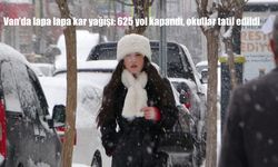 Van’da lapa lapa kar yağışı: 625 yol kapandı, okullar tatil edildi