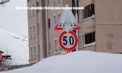 Bitlis kara gömüldü: 294 köy yolu ulaşıma kapandı