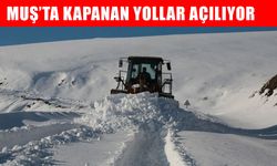 Muş’ta karla mücadele seferberliği: 343 köy yolu ulaşıma açıldı