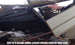 Siirt’te bir çiftliğin çatısı çöktü: 5 buzağı telef oldu