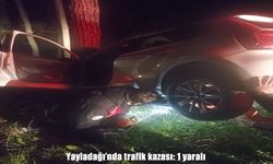 Hatay’da otomobil devrildi: 1 yaralı