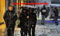 Erzincan ve Çevresinde Don ve Fırtına Alarmı