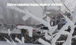 Sibirya soğukları hayatı olumsuz etkiliyor