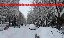 Patnos'ta kar ve dondurucu soğuk hayatı olumsuz etkiliyor