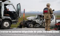 Erzurum'da jandarma bölgesinde bir yılda 255 trafik kazası