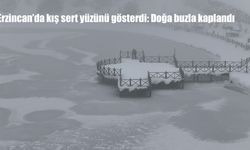 Erzincan’da kış sert yüzünü gösterdi: Doğa buzla kaplandı