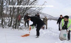 Genç'te yaban hayvanları için doğaya yem bırakıldı