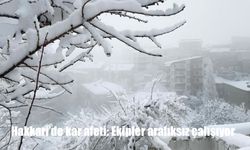 Hakkari'de kar afeti: Ekipler aralıksız çalışıyor