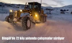 Bingöl'de 72 köy yolunda çalışmalar sürüyor