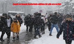 Kar ve Buzlanma Nedeniyle İki İlçede Eğitime Ara Verildi
