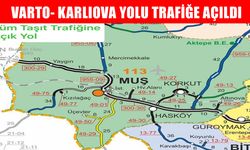Varto-Karlıova kara yolu trafiğe açıldı