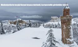 Medeniyetlerin beşiği Harput beyaza büründü, kartpostallık görüntüler oluştu