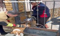 Hatay’da demir korkuluklara sıkışan köpeği itfaiye kurtardı