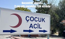 Bocavirüs alarmı: 2 yaş altı bebekler risk altında