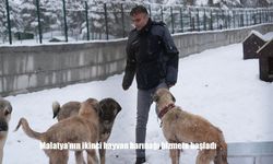 Malatya’nın ikinci hayvan barınağı hizmete başladı