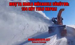Muş’ta 134 köy yolu ulaşıma kapandı