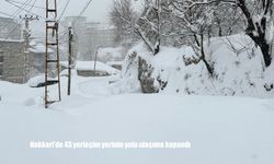 Hakkari’de 43 yerleşim yerinin yolu ulaşıma kapandı