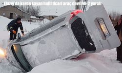 Elazığ'da hafif ticari araç devrildi: 2 yaralı