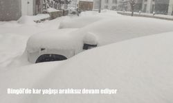 Bingöl'de kar yağışı aralıksız devam ediyor
