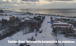 ‘Cevizler diyarı' Adilcevaz'da kartpostallık kış manzarası