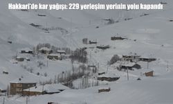 Hakkari'de 229 yerleşim yerine ulaşım durdu