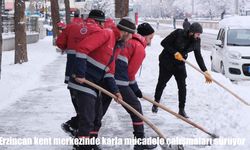 Erzincan şehir merkezinde karla mücadele çalışmaları sürüyor