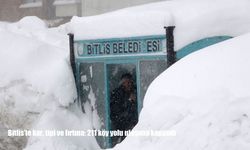 Bitlis'te 211 köy yolu ulaşıma kapandı