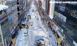 Bingöl'de kar yağışı durdu, temizlik çalışmaları hız kazandı