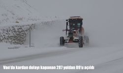 Van'da 287 yoldan 89'u açıldı