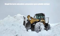 Bingöl'de karla mücadele çalışmaları gece gündüz sürüyor